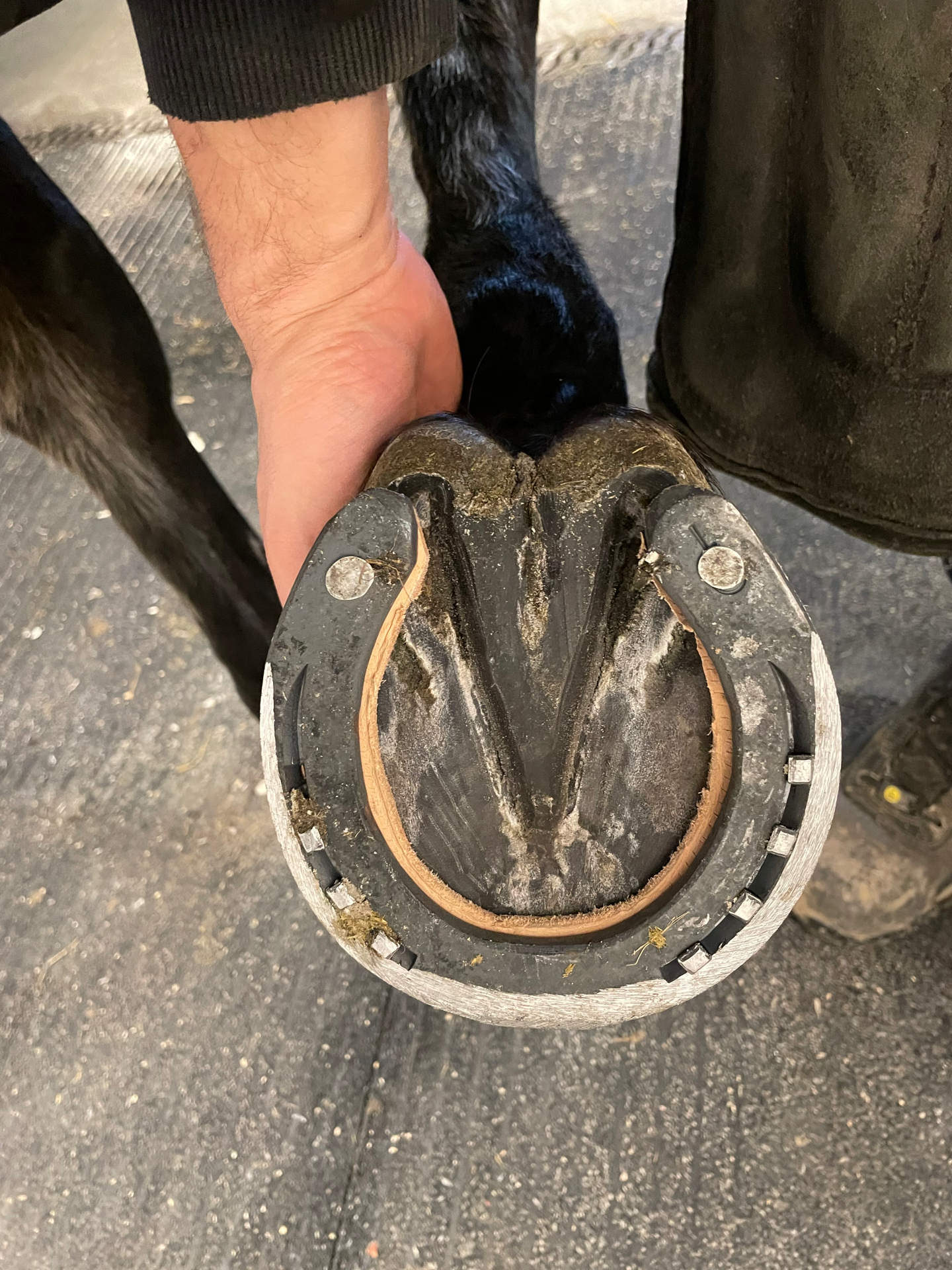 Ferrage professionnel